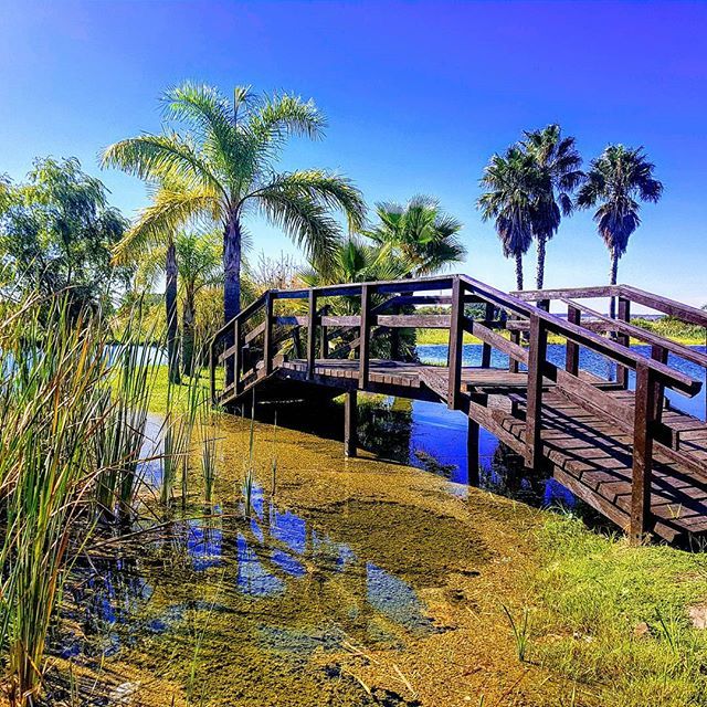 Termas de Federacion