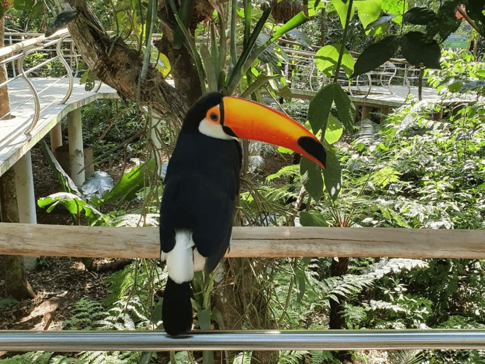 Cataratas del Iguazu